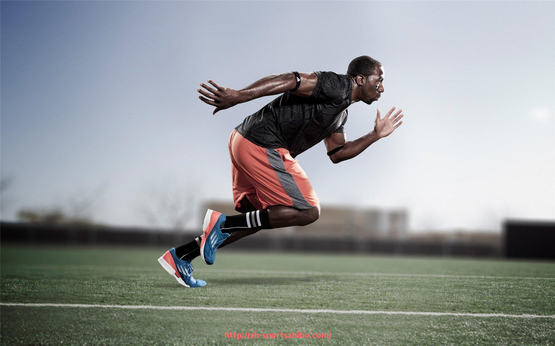 体育直播-健身器材综合训练架的功能及使用场景介绍